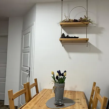 Rajić, Tara Apartament Bajina Basta