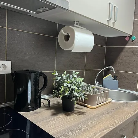 Rajić, Tara Apartament