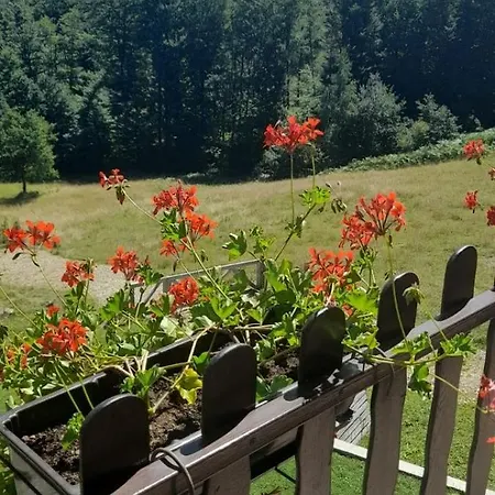 Rajić, Tara Bajina Basta