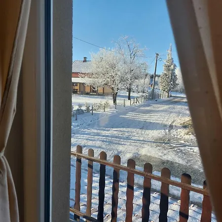 Rajić, Tara Bajina Basta